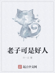 上门赘婿岳枫