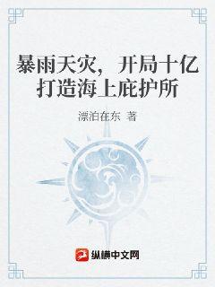 暴雨天灾,开局十亿打造海上庇护所