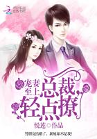 宠妻至上:总裁,轻点撩