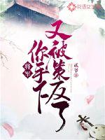 将军,你手下又被策反了!