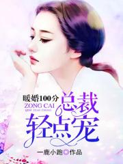 暖婚100分:总裁,轻点宠